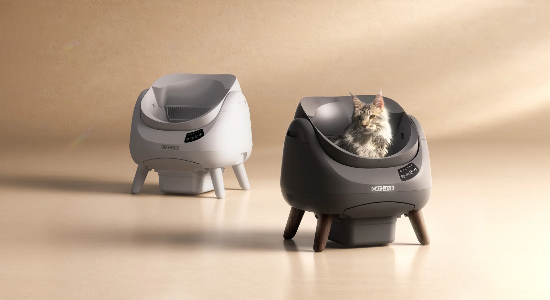 Smart Care for Happy Cats